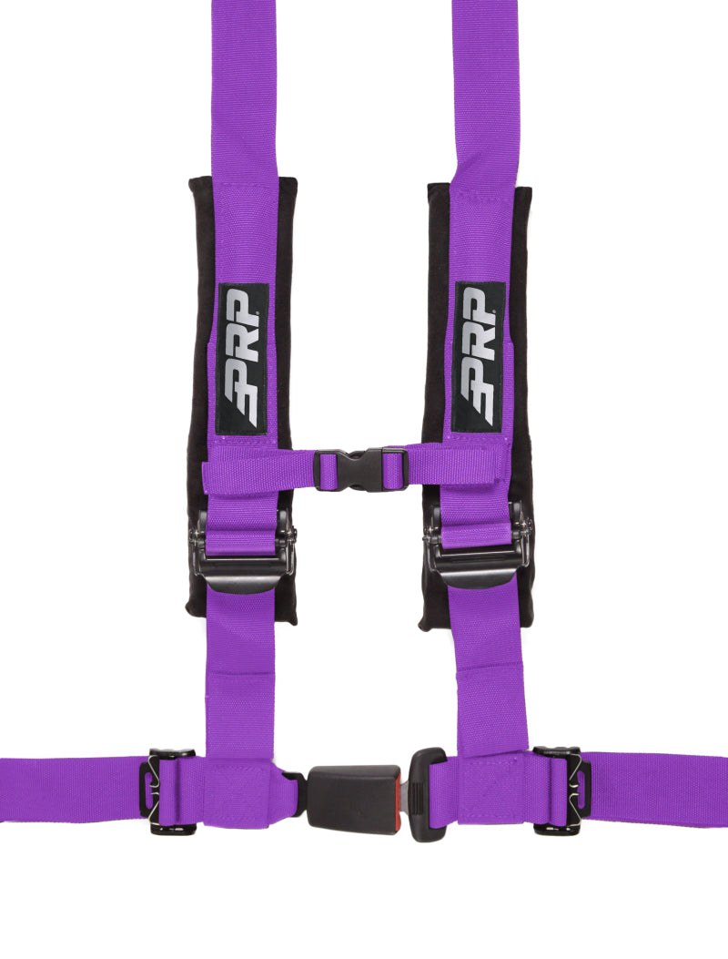 PRP 4.2 Harness- Purple - Racecraft Industries