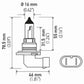 Hella 9006 12V 55W Halogen Bulb - Racecraft Industries