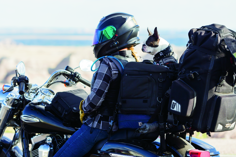 Kuryakyn Grand Pet Palace - Racecraft Industries