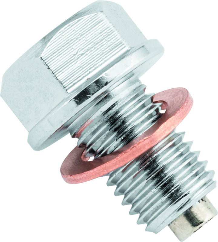 BikeMaster Magnetic Oil Drain Plug 10x1.25mm - Stainless - Racecraft Industries