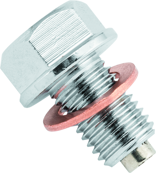 BikeMaster Magnetic Oil Drain Plug 10x1.25mm - Stainless - Racecraft Industries