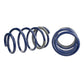Ford Racing 2005-2014 Mustang GT 1.0in. Track Lowering Springs - Racecraft Industries