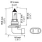 Hella 9006 12V 55W Halogen Bulb - Racecraft Industries