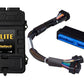 Haltech Elite 2500 Adaptor Harness ECU Kit - Racecraft Industries