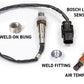 Haltech NEXUS Rebel LS Kit (Suits Gen IV) 6-Pin DBW Throttle/EV6 Injectors/Manual Transmission - Racecraft Industries
