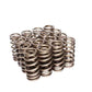 COMP Cams Valve Springs Ford 4.6L 2 Valve - Racecraft Industries