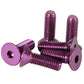 NRG Steering Wheel Screw Upgrade Kit (Conical) - Purple - Racecraft Industries