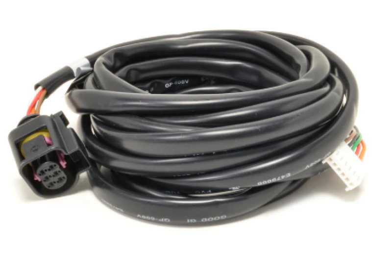 AEM Replacement Sensor Harness for Digital Wideband Gauge (30-4110) - Racecraft Industries