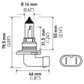 Hella 9006 12V 55W Halogen Bulb - Racecraft Industries