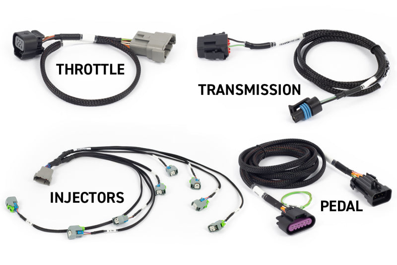 Haltech NEXUS Rebel LS Kit (Suits Gen IV) 6-Pin DBW Throttle/EV6 Injectors/Manual Transmission - Racecraft Industries