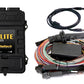 Haltech Elite 2500 Premium Universal Wire-In Harness ECU Kit - Racecraft Industries
