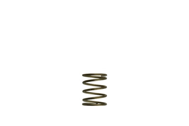 Turbosmart Gen-V WG45/50 3psi Orange Inner Spring - Racecraft Industries