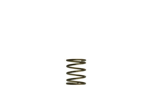 Turbosmart Gen-V WG45/50 3psi Orange Inner Spring - Racecraft Industries