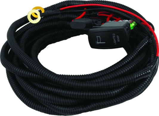 DragonFire Racing Whip Harness - 2 Seat- Dual - Racecraft Industries